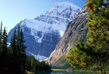 天涯论坛情感天地事件，真的是八卦の心情 unable to handle！